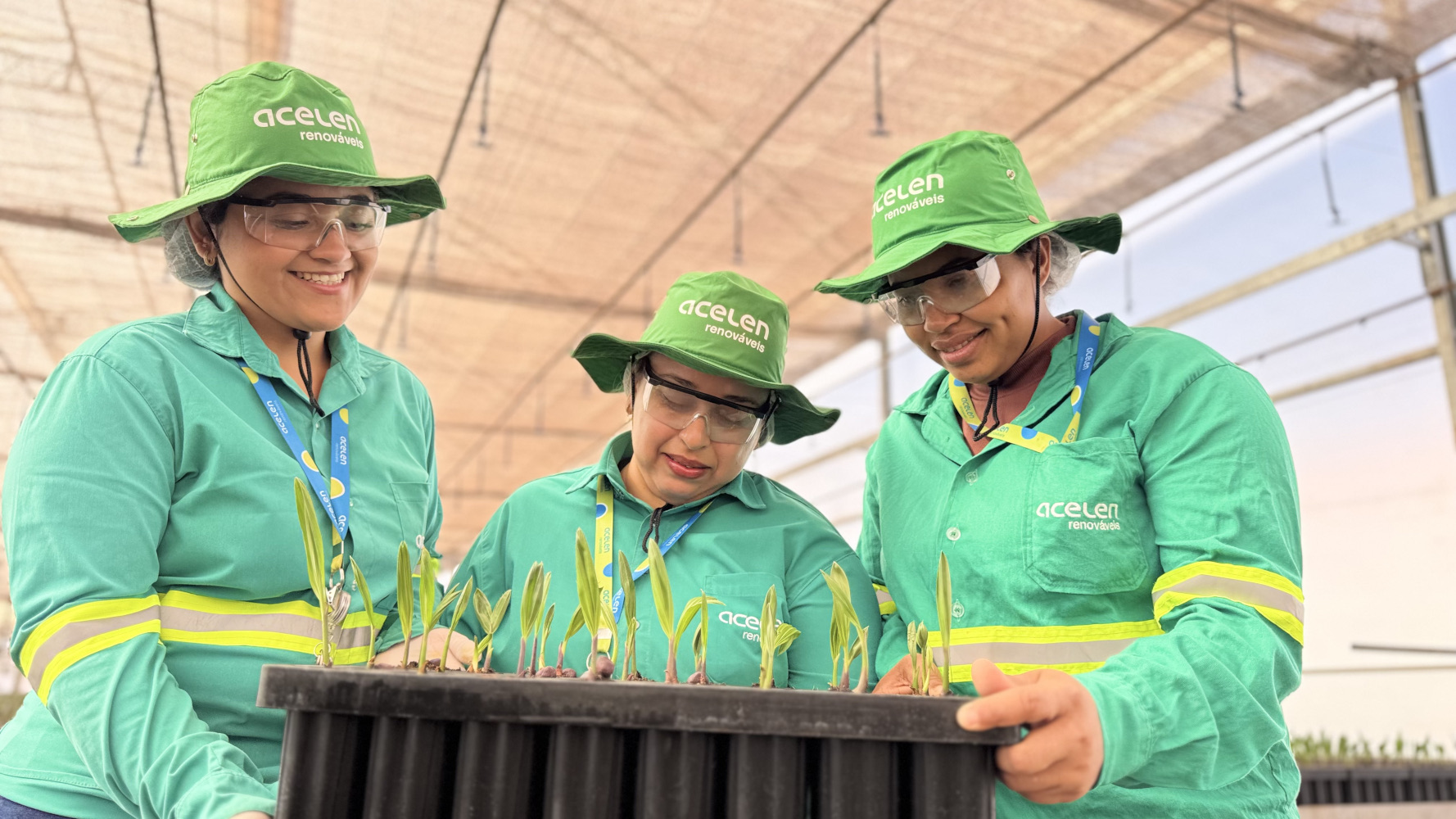 Acelen Agripark supera média nacional no agro e atinge 36% de presença feminina na força de trabalho